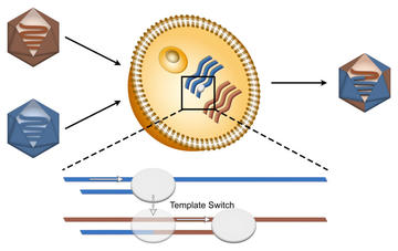 Final schematic 1024x647 final schematic 1024x647